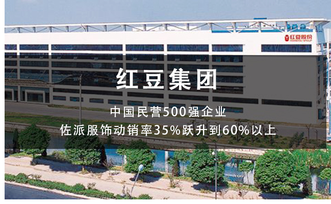 紅豆集團南國控股有限公司阿米巴基因工程咨詢項目