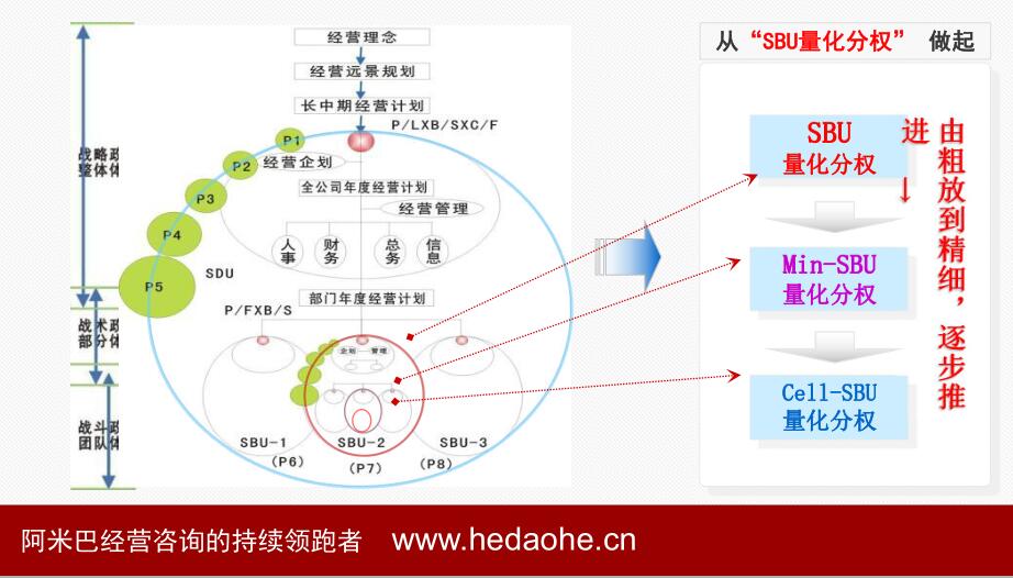 如何構建阿米巴組織架構--阿米巴組織架構圖