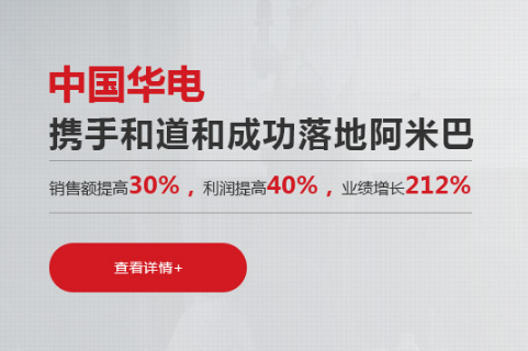 阿米巴成功實施的案例有哪些？