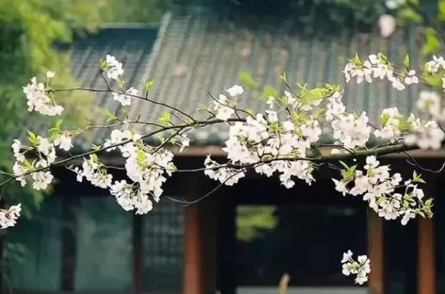 微信圖片_20200805105012.jpg